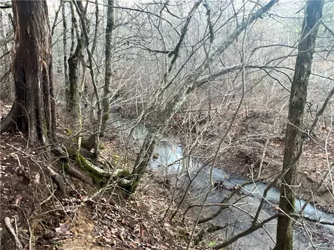 697 Upper Bear Creek Rd, Marshall, AR 72650 photo 13