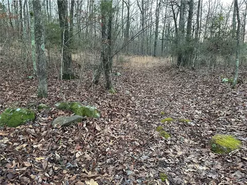 697 Upper Bear Creek Rd, Marshall, AR 72650 photo 29