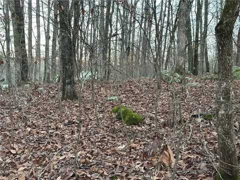 697 Upper Bear Creek Rd, Marshall, AR 72650 photo 33