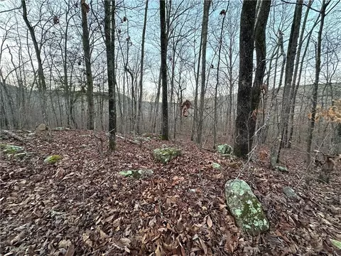 697 Upper Bear Creek Rd, Marshall, AR 72650 photo 7