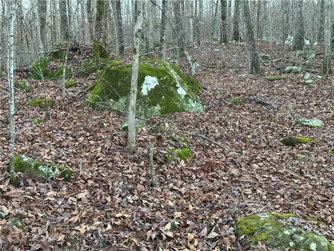 697 Upper Bear Creek Rd, Marshall, AR 72650 photo 19