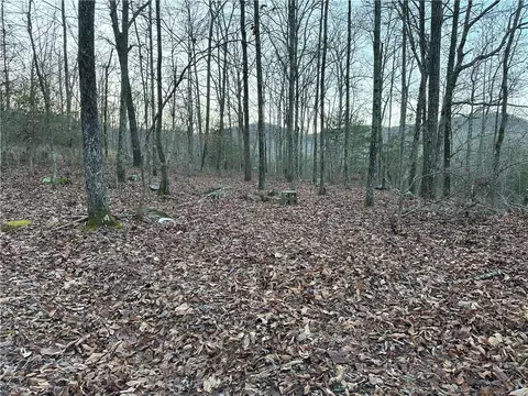697 Upper Bear Creek Rd, Marshall, AR 72650 photo 30