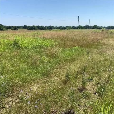 Dowell, Springdale, AR 72762 photo 6