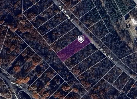 Wild Turkey Drive, Eureka Springs, AR 72631