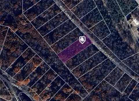 Wild Turkey Drive, Eureka Springs, AR 72631