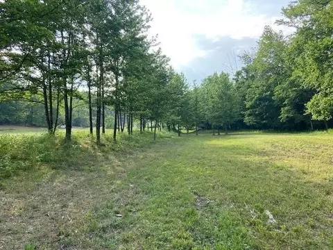 1262 Madison 4425, Combs, AR 72721 photo 11