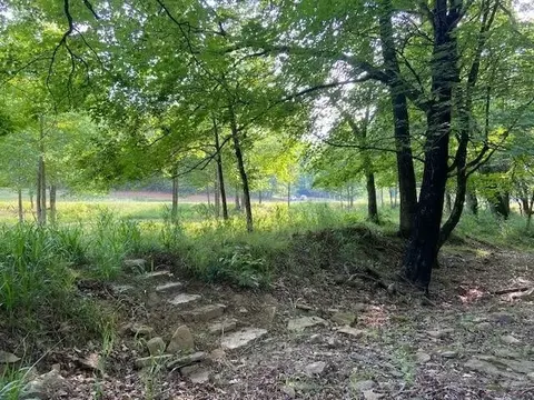 1262 Madison 4425, Combs, AR 72721 photo 14