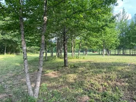 1262 Madison 4425, Combs, AR 72721 photo 2