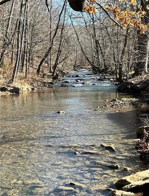 1262 Madison 4425, Combs, AR 72721 photo 6