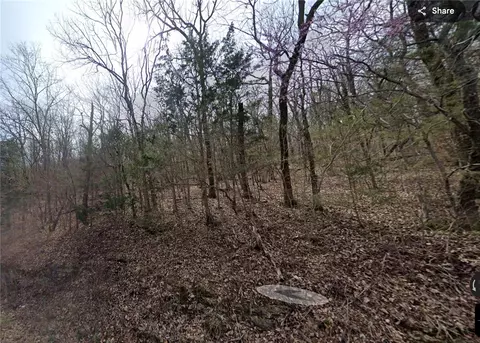 6 Wild Turkey Drive, Holiday Island, AR 72631
