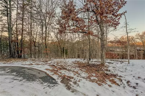 lot20 Block 3 Woodbridge Dr, Bella Vista, AR 72714