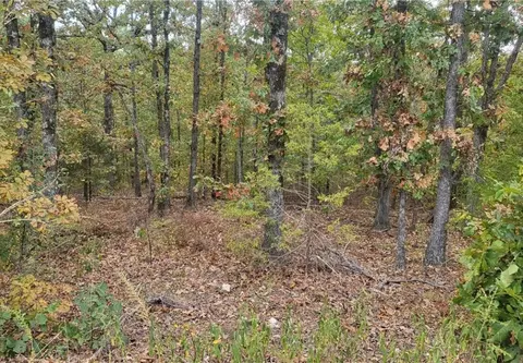 1 Ettrick Lane # l, Bella Vista, AR 72715