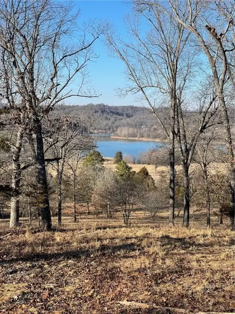 14696 Hwy 311 N Rd, Green Forest, AR 72638