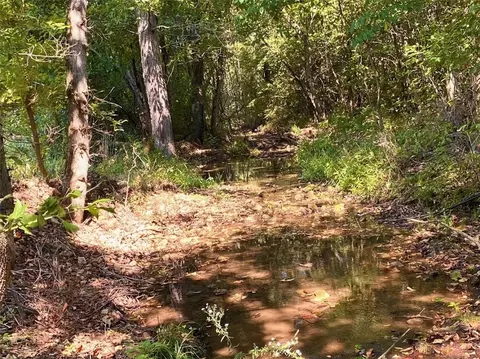 6614 Marion County 4010, Everton, AR 72633 photo 34