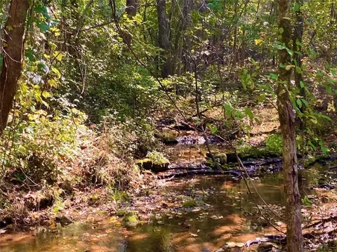 6614 Marion County 4010, Everton, AR 72633 photo 35