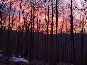 391 County Road 1486, Eureka Springs, AR 72632