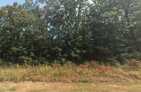 lot013 Irene Dr, Pine Bluff, AR 71601 photo 4
