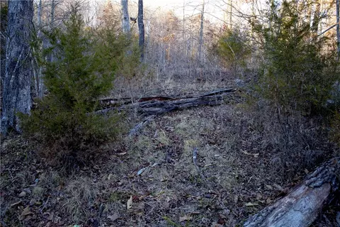 0000 Madison 5540, Combs, AR 72721 photo 27