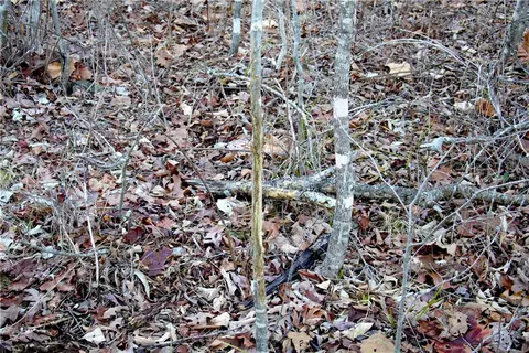 0000 Madison 5540, Combs, AR 72721 photo 49