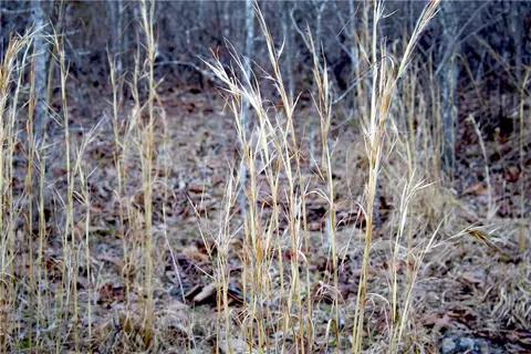0000 Madison 5540, Combs, AR 72721 photo 48