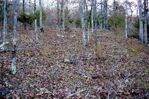 0000 Madison 5540, Combs, AR 72721 photo 43