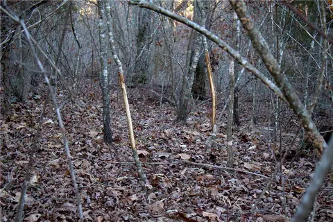 0000 Madison 5540, Combs, AR 72721 photo 39
