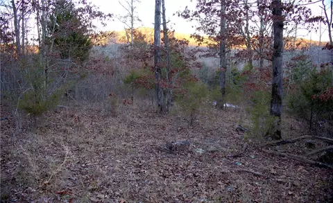 0000 Madison 5540, Combs, AR 72721 photo 52