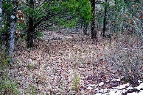0000 Madison 5540, Combs, AR 72721 photo 57