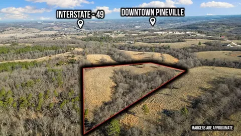 000 Turkey Ridge Ct, Pineville, MO 64856 photo 3