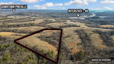 000 Turkey Ridge Ct, Pineville, MO 64856 photo 4