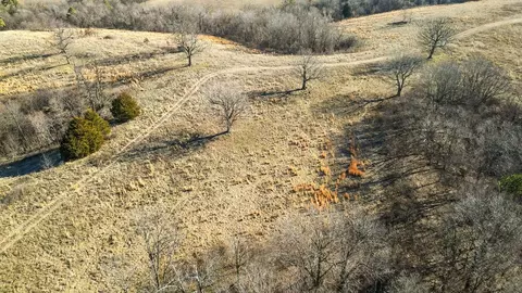 000 Turkey Ridge Ct, Pineville, MO 64856 photo 18