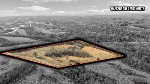 000 Turkey Ridge Ct, Pineville, MO 64856 photo 7
