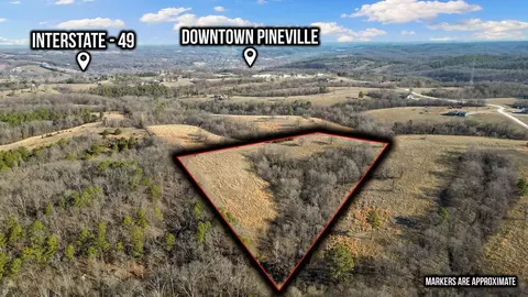 000 Turkey Ridge Ct, Pineville, MO 64856 photo 5