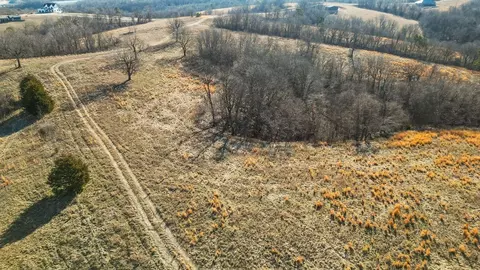 000 Turkey Ridge Ct, Pineville, MO 64856 photo 8