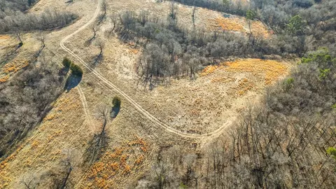 000 Turkey Ridge Ct, Pineville, MO 64856 photo 11
