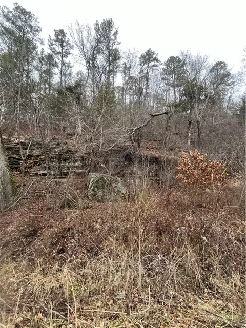 Cr 148, Eureka Springs, AR 72632
