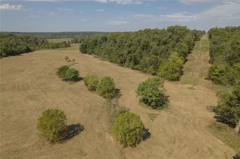 Tract 3 Iris Road, Neosho, MO 64850 photo 4