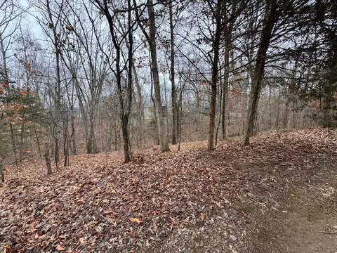 lot3 Sean Cir, Bella Vista, AR 72714