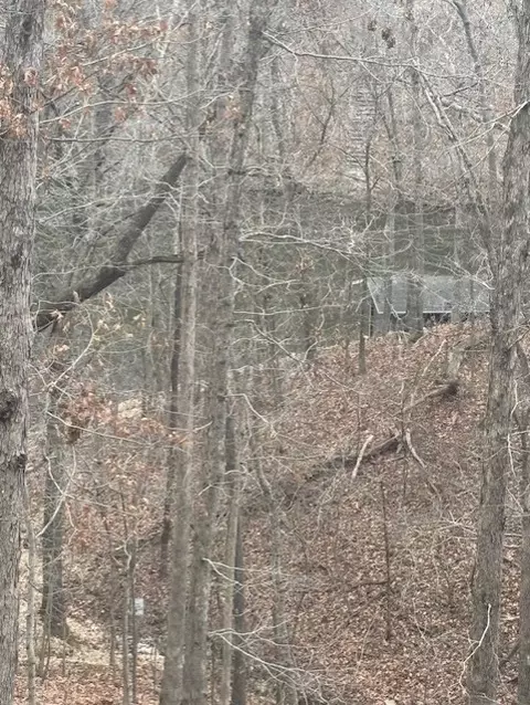 Winstone Lane, Bella Vista, AR 72715
