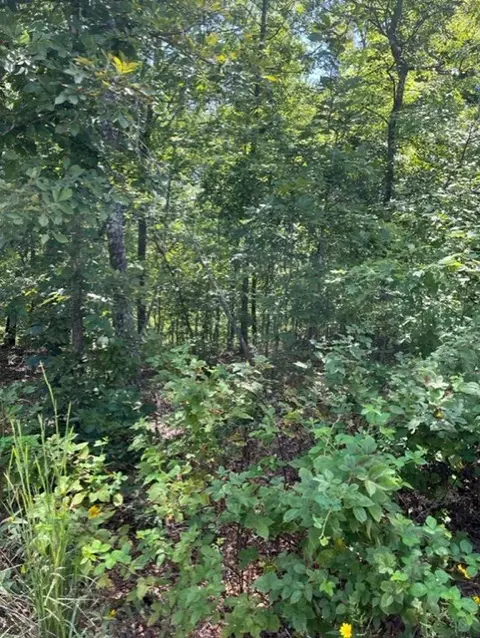 Lasswade Circle, Bella Vista, AR 72715