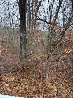 Kames Lane, Bella Vista, AR 72715