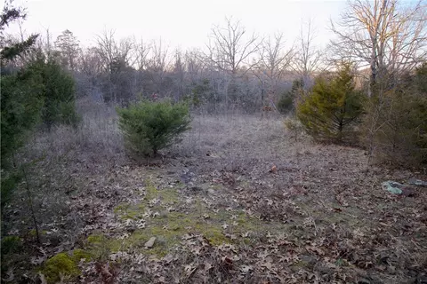 tbd Madison 7840, Wesley, AR 72773 photo 25