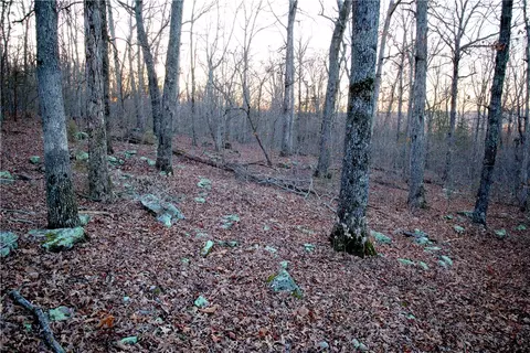 tbd Madison 7840, Wesley, AR 72773 photo 50