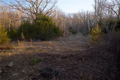 tbd Madison 7840, Wesley, AR 72773 photo 20