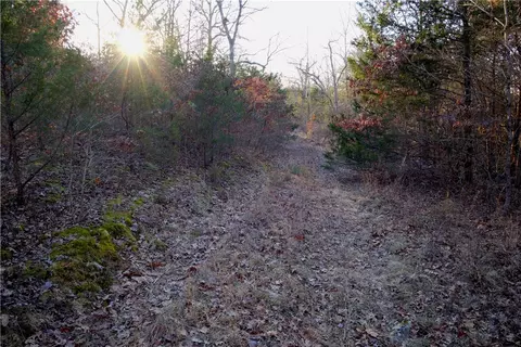 tbd Madison 7840, Wesley, AR 72773 photo 19