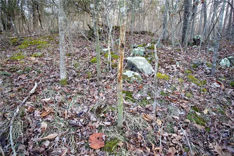 tbd Madison 7840, Wesley, AR 72773 photo 17