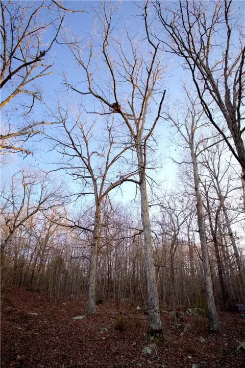 tbd Madison 7840, Wesley, AR 72773 photo 30