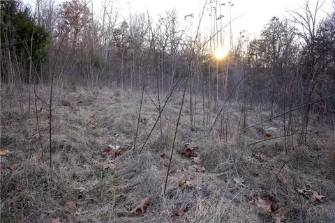 tbd Madison 7840, Wesley, AR 72773 photo 22