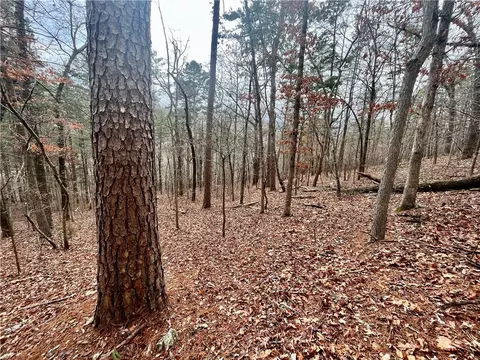 00 Nc 6052, Jasper, AR 72641 photo 8