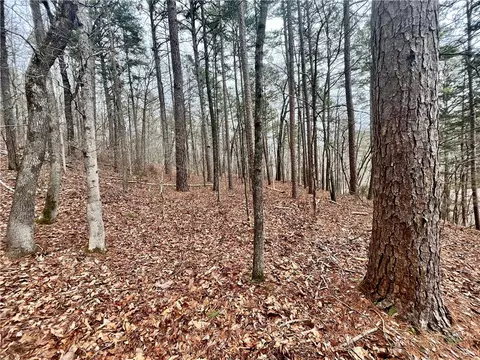 00 Nc 6052, Jasper, AR 72641 photo 10
